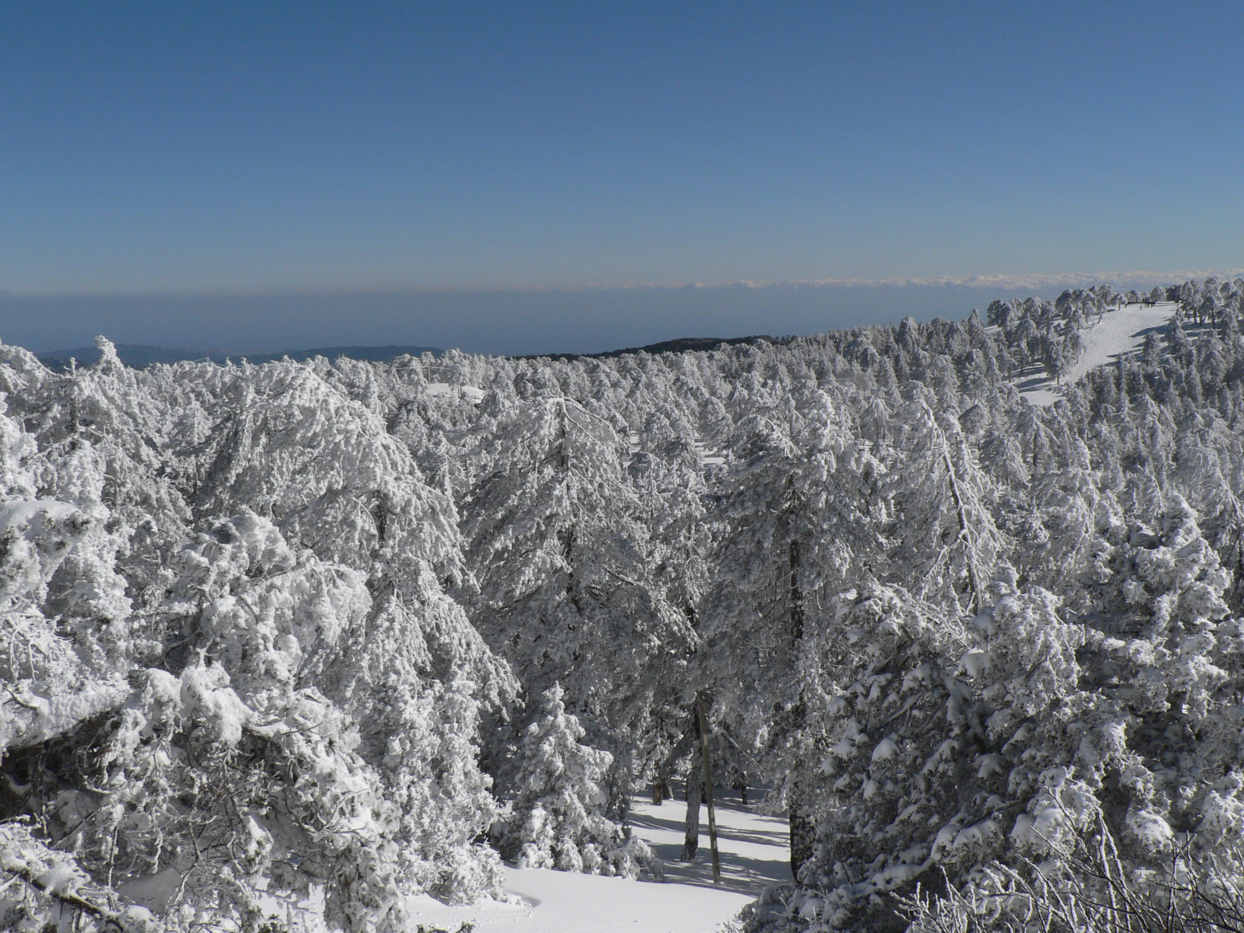 Troodos